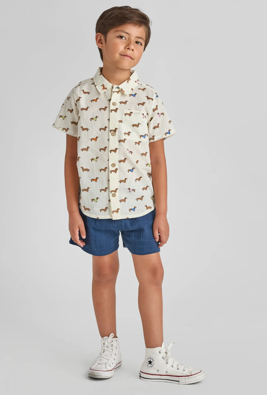 Boys Jack Shirt - Dachshunds in Sweaters