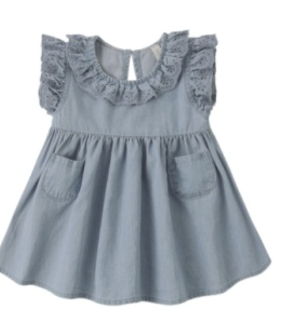 Sophie Chambray Dress
