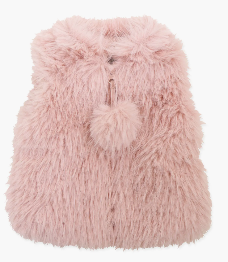 Cozy Fur Vest