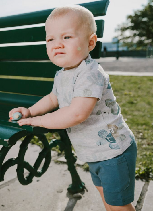 Organic Cotton Turtle Tee & Shorts Set - Grey & Blue